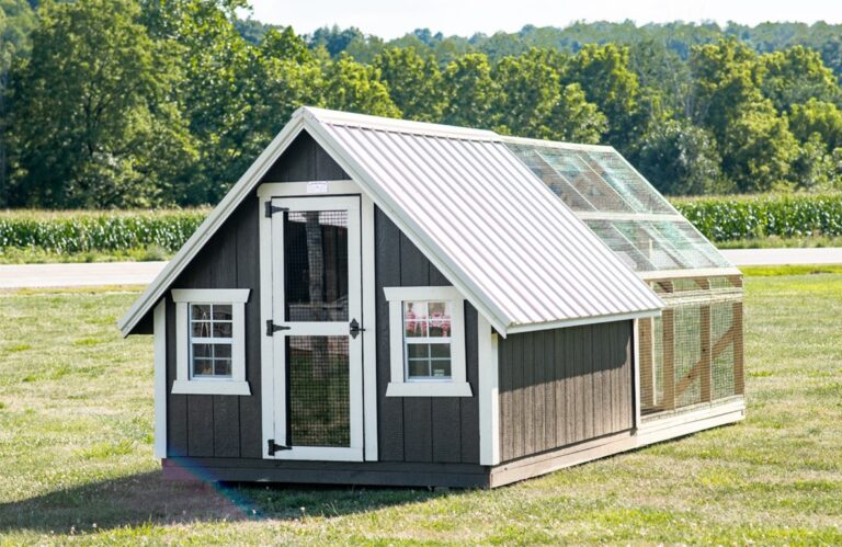 Chicken Coop